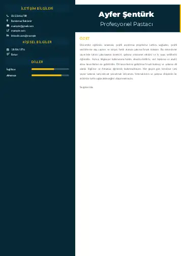 Pastacı Cv Örnekleri cv indir